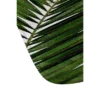Orara Studio Palm Leaf Memory Foam Bath Mat Green - Deny Designs -Lunara Bath Store GUEST 27968d67 0b04 4492 9cff f474ff0298b0